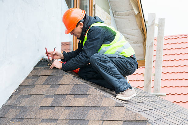 Best Metal Roofing Contractor  in Celoron, NY